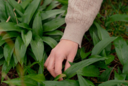  Naturheilpraxis Anna Wendels Riegelsberg