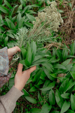  Naturheilpraxis Anna Wendels Riegelsberg